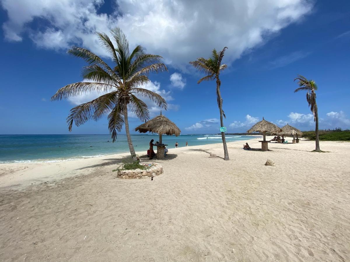 Luxury Ocean View Condo @ Aruba'S Palm Beach Exteriör bild